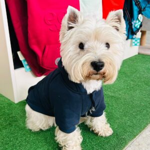Sudadera Freedog con capucha
